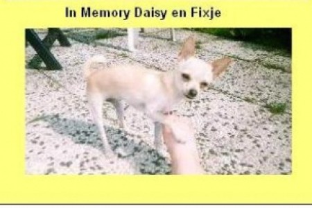 Idefix en Daisy