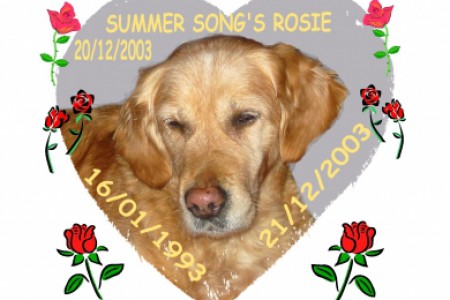 summersong's rosie